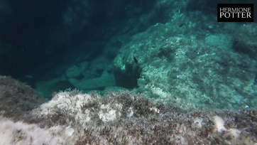 Σχεδόν όλες τις διακοπές απλώς γαμούσαμε το καυτό μου κοπέλα, μερικά από τα οποία μάλιστα βιντεοσκόπησα Thumb